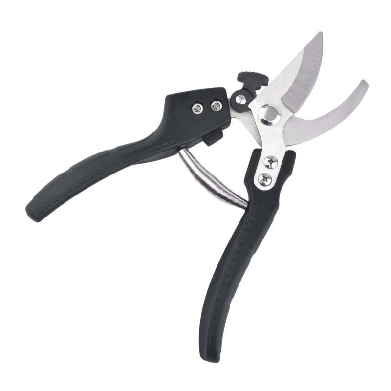 Coupe-bonzaï en acier inoxydable - Outils de coupe - CXB TOOLS